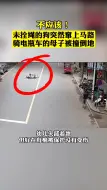 危险！庆元街头一条狗突然窜上马路，撞倒一对母子
