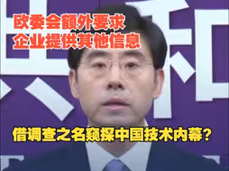 欧委会在对中国电动汽车调查中索取技术工艺、产品配方等信息，商务部：将采取一切必要措施坚定捍卫中国企业合法权利