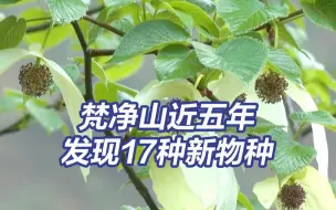 贵州梵净山近五年发现17种新物种