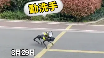 3月29日，上海某小区物业将喇叭装在机械狗上，围绕小区播放防疫知识，提醒大家做好防疫措施