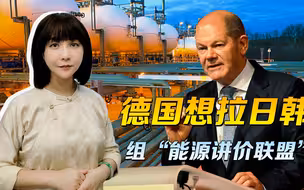 德国买美国天然气，想拉上日韩一起讲价，韭菜组团能对抗镰刀吗？