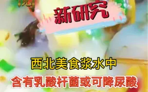 新研究：西北美食浆水含有乳酸杆菌 或可降尿酸，除了好吃还有这好处，你爱了吗？
