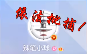涉嫌侵害英雄烈士名誉、荣誉罪，网民“辣笔小球”被检方依法批捕