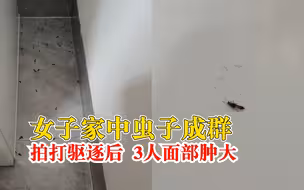 女子拍打疑似隐翅虫后3人面部红肿：从纱窗缝隙钻进来