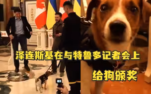 泽连斯基在与特鲁多记者会上给狗颁奖，特鲁多不停摸索口袋
