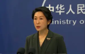 阿根廷与台湾进行“政府间”联系？中方：阿方已主动澄清为不实炒作