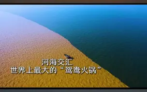 世界最大“鸳鸯火锅”在东营！ 任鲁豫带你饱览“海上长城”