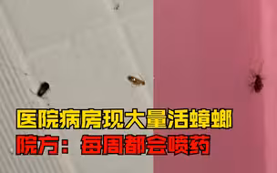 医院儿童病房内现大量蟑螂，院方：已全面清理，之前每周都会喷药