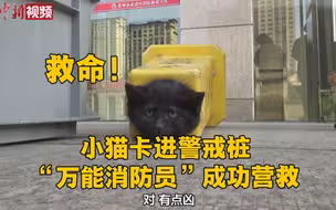 小猫卡进警戒桩 “万能消防员”成功营救