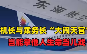 拿人命开玩笑？一个骨折一个门牙被打断？机长与乘务长飞行中互殴
