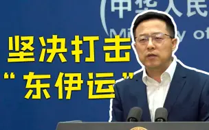 中国是否相信塔利班能够实现国家稳定、打击恐怖组织？ 外交部回应