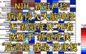 NIH：新冠尸检表明病毒侵入大脑和全身器官，儿童或成O毒株高危人群