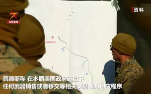 美将重新考虑向沙特出售武器问题