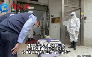 台官员向逃亡狒狒尸体90度鞠躬 台媒体人讽：没披麻戴孝不够专业