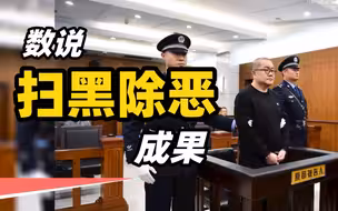 数说扫黑除恶成果