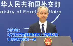 外交部： 中方在巴勒斯坦问题上没有私利 始终站在和平一边