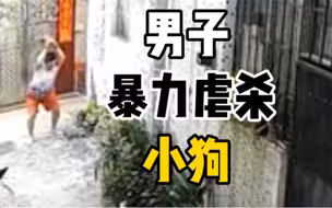 男子走进巷道突然将小狗暴力摔死，随后两次返回将尸体藏于垃圾桶中