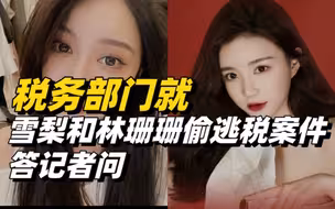 网红主播雪梨和林珊珊偷逃税被处罚合计超9000万元