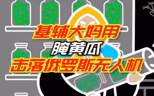 乌克兰政府顾问：基辅大妈用腌黄瓜击落俄罗斯无人机