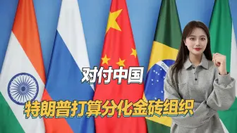 对付中国，特朗普准备分化金砖组织，已瞄准了一个核心成员国