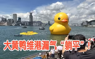 大黄鸭漏气“躺平”！独留一只游维港