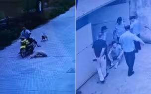 村民撞到村长狗被围殴？警方：犬主曾任村干部，5人已全部到案