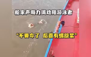 游泳爱好者向货船靠近，船家声嘶力竭劝阻：“不要命了 后面有螺旋桨”