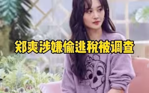 郑爽涉嫌偷逃税被调查