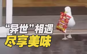 超市相遇 尽享美味！英国海鸥进超市偷薯片“犯罪”现场实拍！