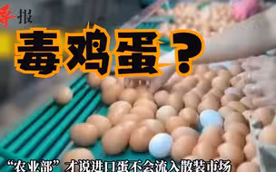 台湾数千万颗进口的问题鸡蛋已流入市场？徐巧芯批民进党是共犯