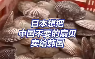 日本想把中国不要的扇贝卖给韩国和欧盟