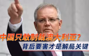 美国频频组建反华联盟，为何中国却只痛打莫里森？背后要害才是关键