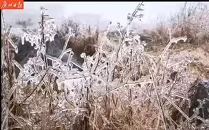 冻真格了！韶关乳源高寒山区迎来虎年首场雨夹雪