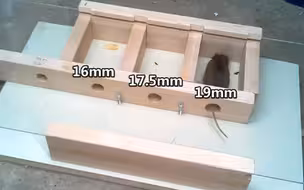 老鼠究竟可以钻过多小的洞？