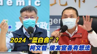 事关2024，蔡正元：侯友宜、柯文哲相辅相成却也相生相克