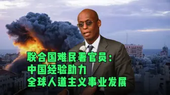 联合国难民署官员：中国经验助力全球人道主义事业发展