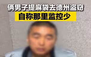 俩男子提麻袋去德州盗窃 自称那里监控少 结果被抓