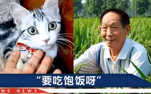 袁隆平灵骨安葬！骨灰盒上盖着五星红旗，昔日唱歌视频惹泪目
