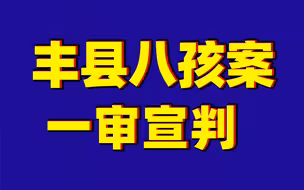 “丰县生育八孩女子”事件相关案件一审宣判：董志民获刑九年