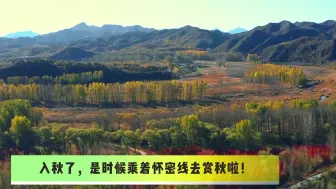 北影节史上最长红毯竟在火车上