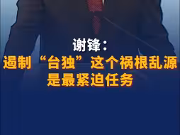 谢锋：遏制“台独”这个祸根乱源是最紧迫任务 。