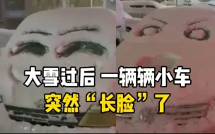 大雪过后女子把街边小车画成表情包 每个都不同！