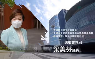 【立法群英再出发】 选委会界别：梁美芬 议员