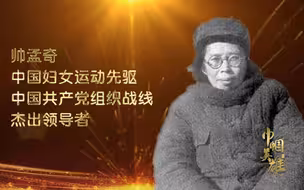 一枝红梅傲霜雪【讲巾帼英雄故事：帅孟奇】