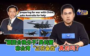 王炳忠：“顽固台独分子”吴钊燮称台湾“正在备战”  真的吗？