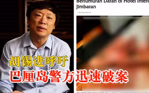 胡锡进呼吁巴厘岛警方迅速破案