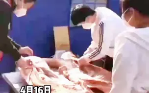 管控期间分给小区的整只猪难倒了物业，闻讯赶来的各大医院外科主任、骨科精英亲自操刀上阵，为邻居分割猪肉。