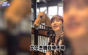 新疆的马儿会点头！台青遇见汗血宝马惊呆了，它居然还有这一面.....