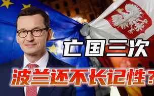 拳打俄罗斯，脚踢德国，出手敲打乌克兰，波兰真不怕“毫无波兰”