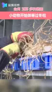 玉环：天冷了 小动物是这样过冬的